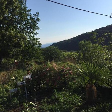 Apartment Dedo, Salara Farmhouse Κόπερ Εξωτερικό φωτογραφία