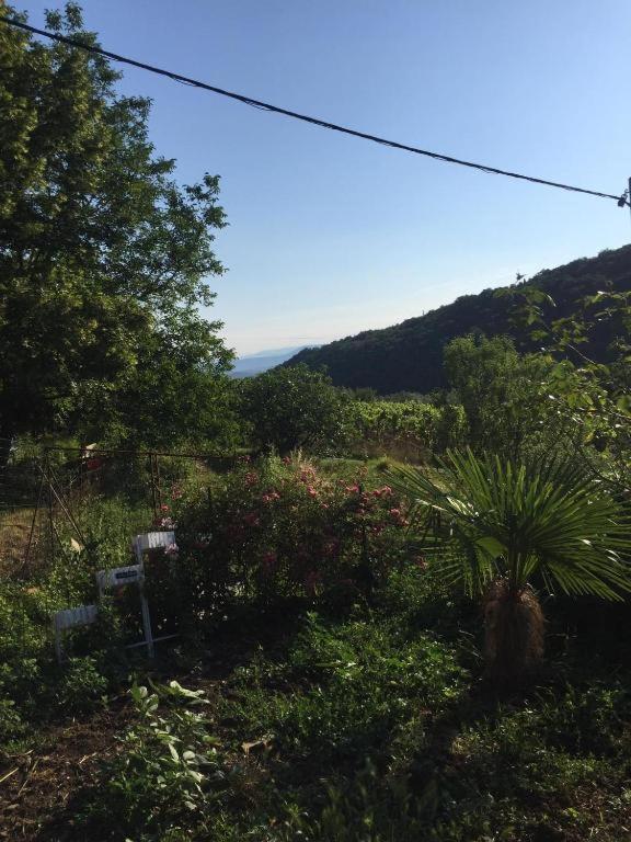 Apartment Dedo, Salara Farmhouse Κόπερ Εξωτερικό φωτογραφία