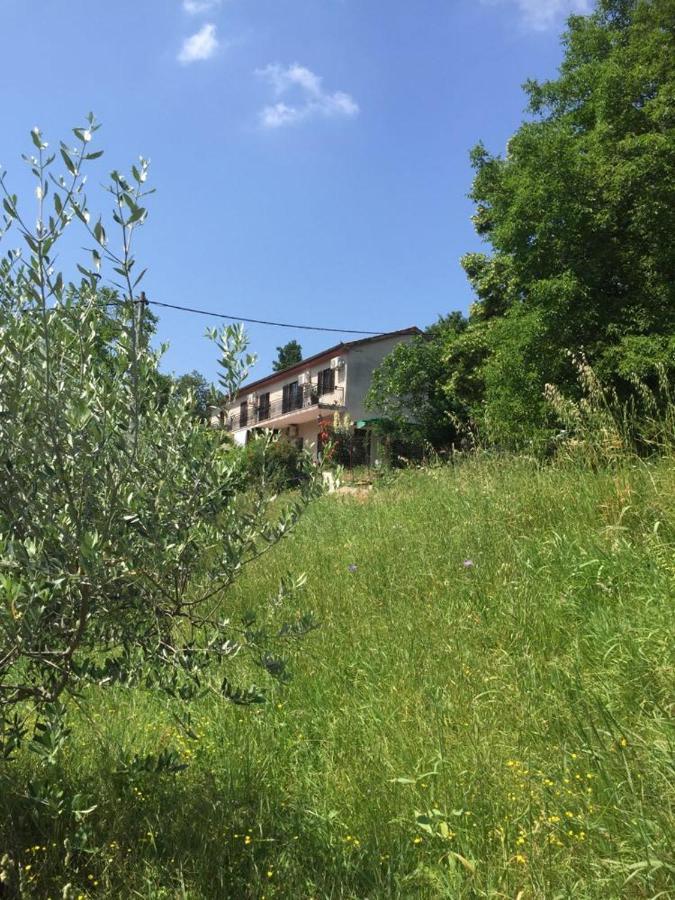 Apartment Dedo, Salara Farmhouse Κόπερ Εξωτερικό φωτογραφία