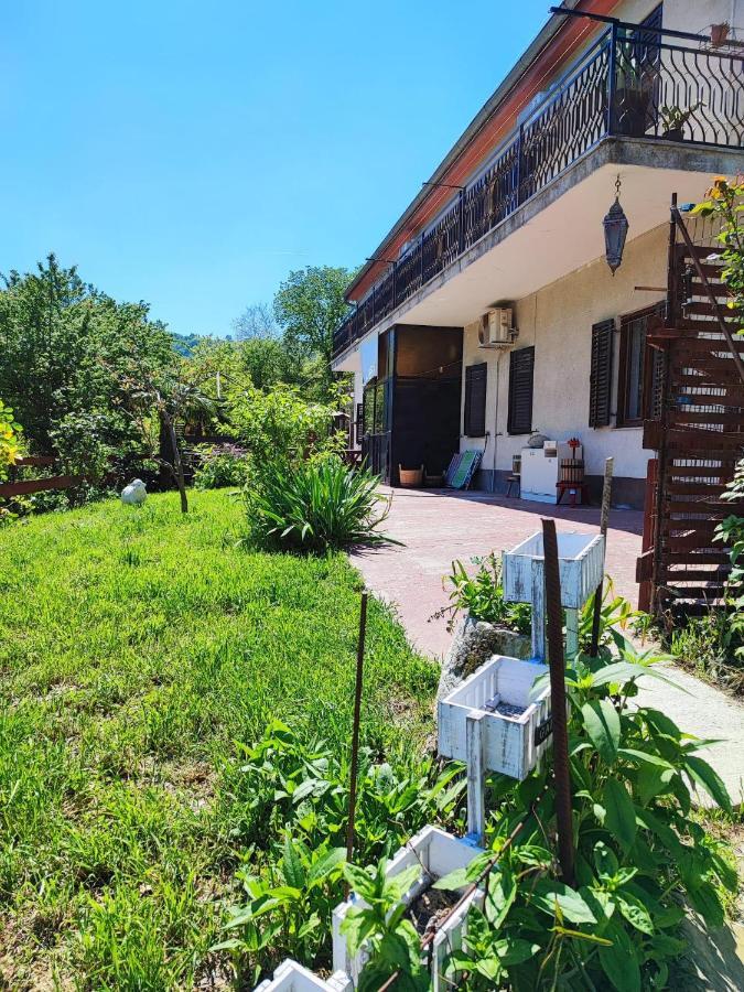 Apartment Dedo, Salara Farmhouse Κόπερ Εξωτερικό φωτογραφία