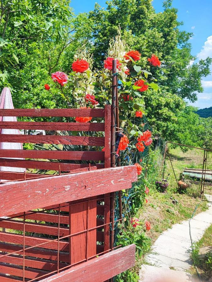 Apartment Dedo, Salara Farmhouse Κόπερ Εξωτερικό φωτογραφία