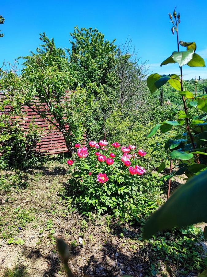 Apartment Dedo, Salara Farmhouse Κόπερ Εξωτερικό φωτογραφία